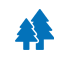 06 - ייעור